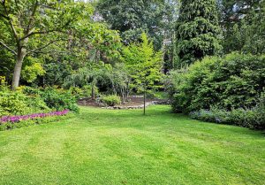 Optimiser l'expérience du jardin à Saint-Cyr-du-Gault