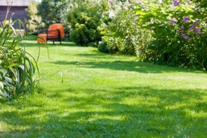 travaux jardin et paysage Saint-Cyr-du-Gault